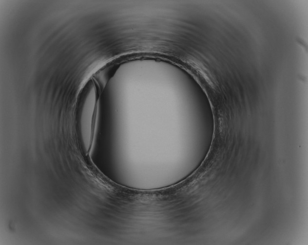 X0000091721069200709210956