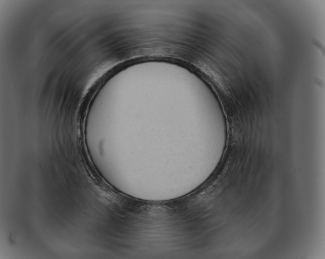 X0000091721070200709210956