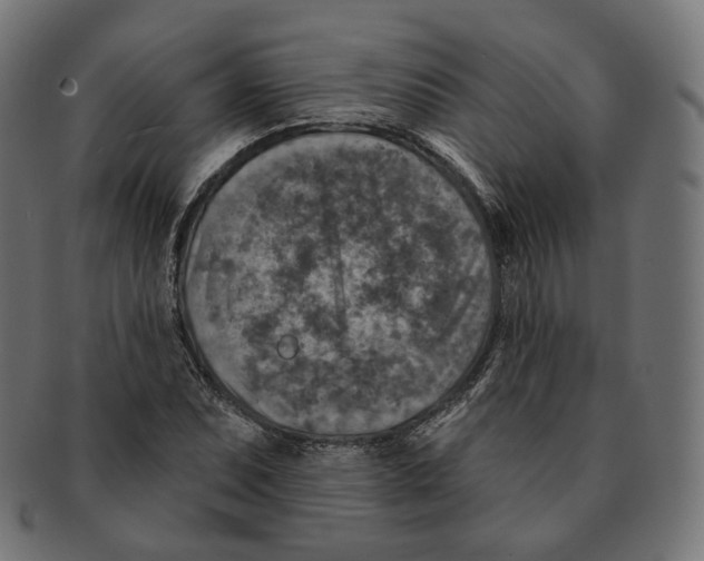 X0000091721071200709210956