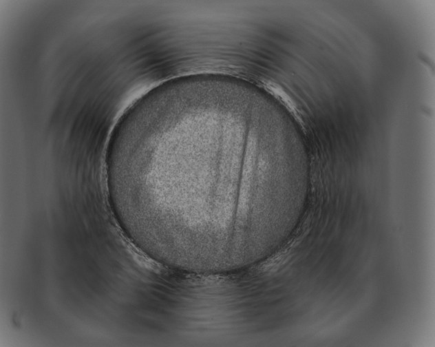 X0000091721072200709210956