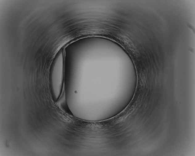 X0000091721073200709210956