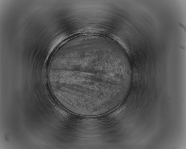 X0000091721075200709210956