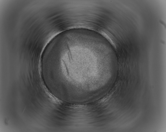 X0000091721076200709210956