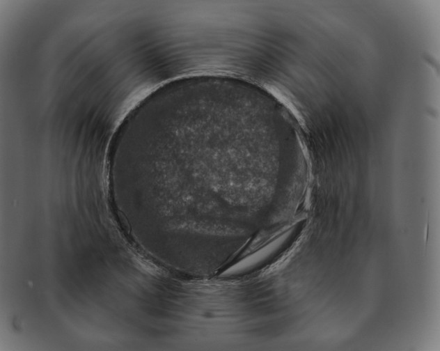 X0000091721077200709210956