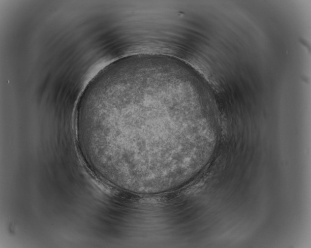 X0000091721078200709210956