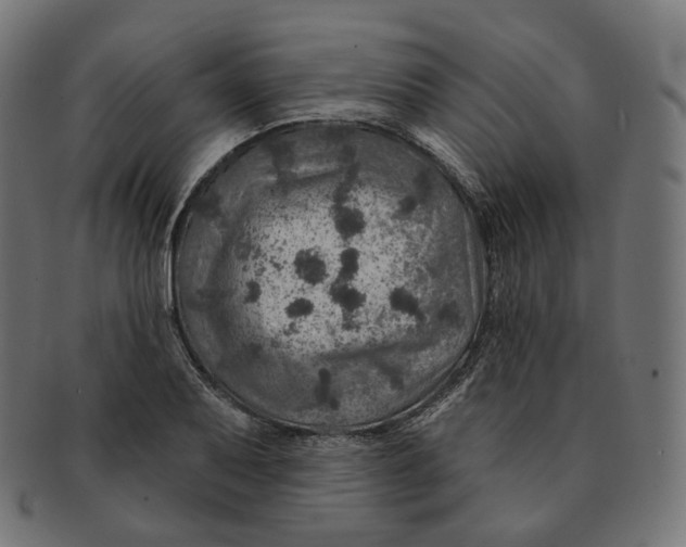 X0000091721079200709210956