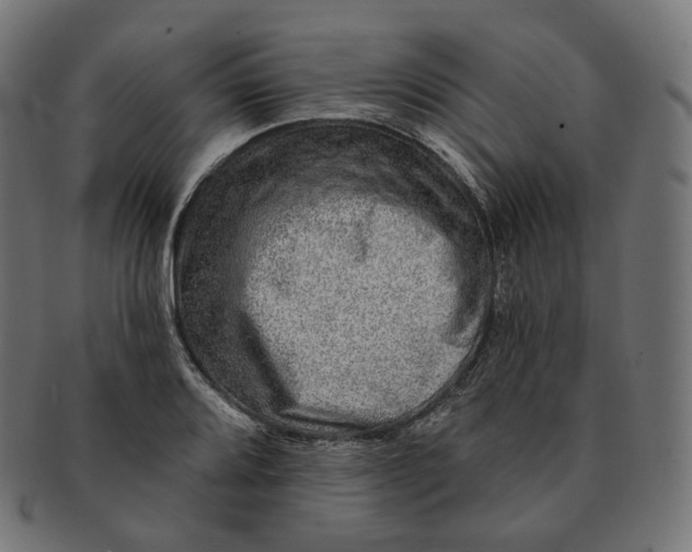 X0000091721080200709210956