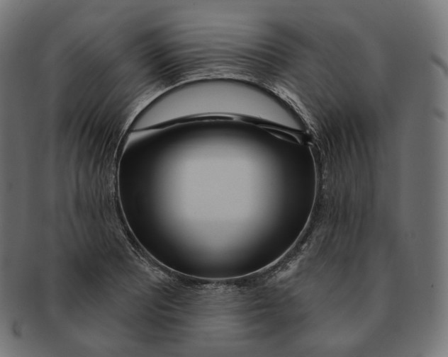 X0000091721081200709210956