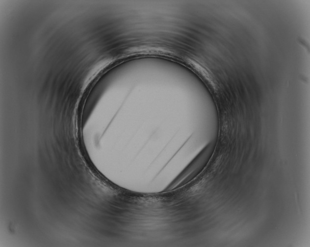 X0000091721082200709210956