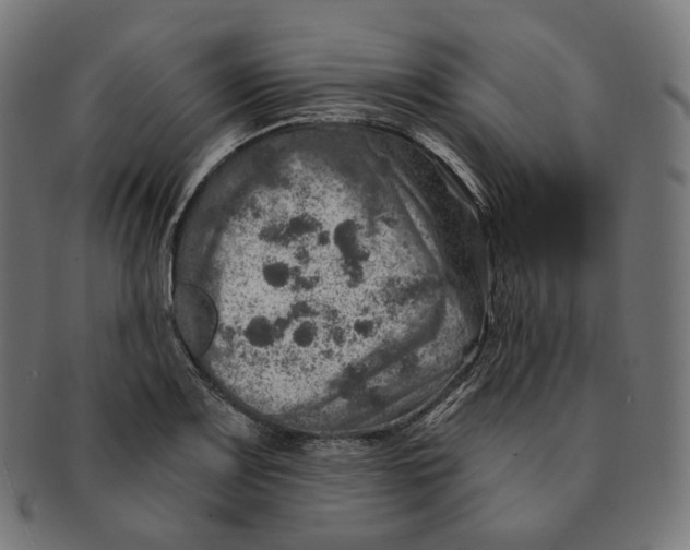 X0000091721083200709210956