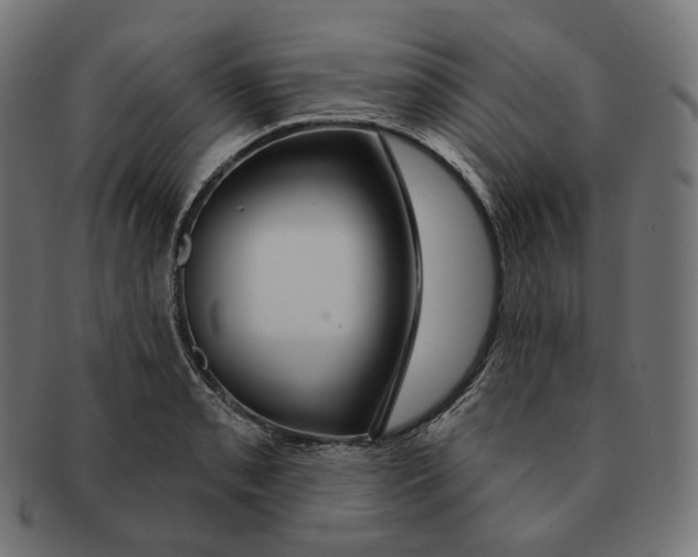 X0000091721085200709210956