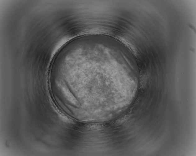 X0000091721086200709210956