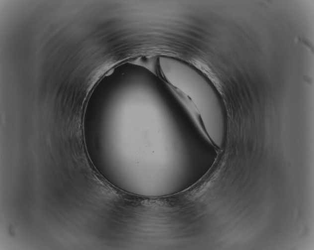 X0000091721089200709210956