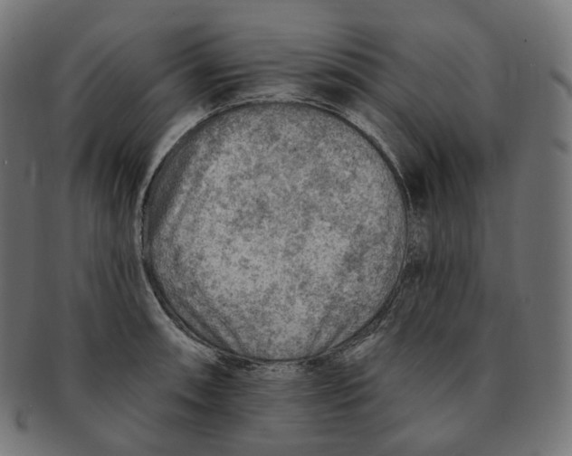 X0000091721090200709210956