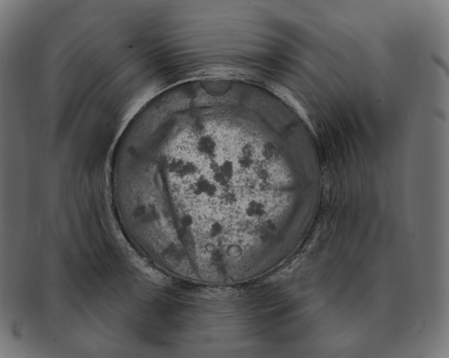 X0000091721091200709210956