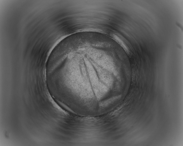 X0000091721092200709210956