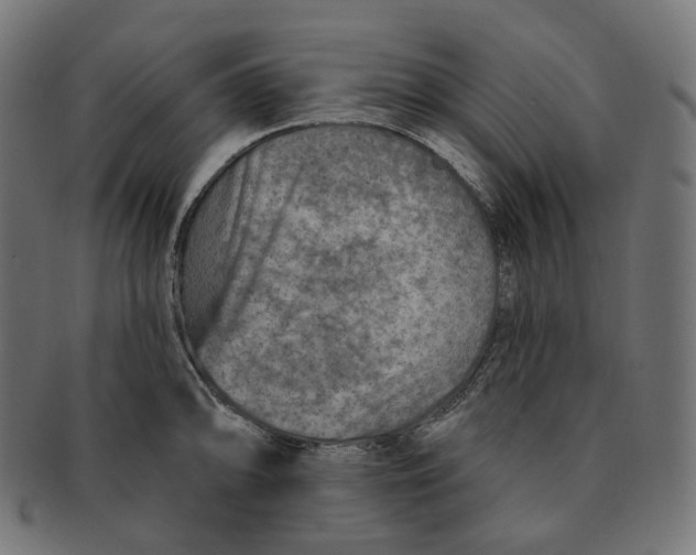 X0000091721094200709210956