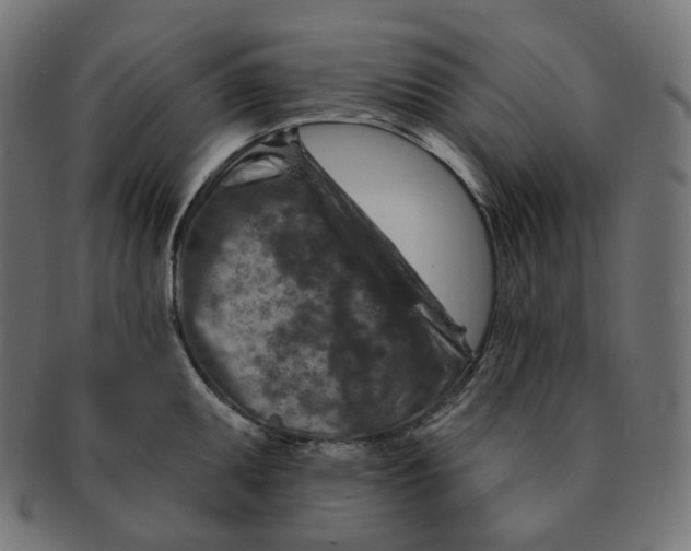 X0000091721095200709210956