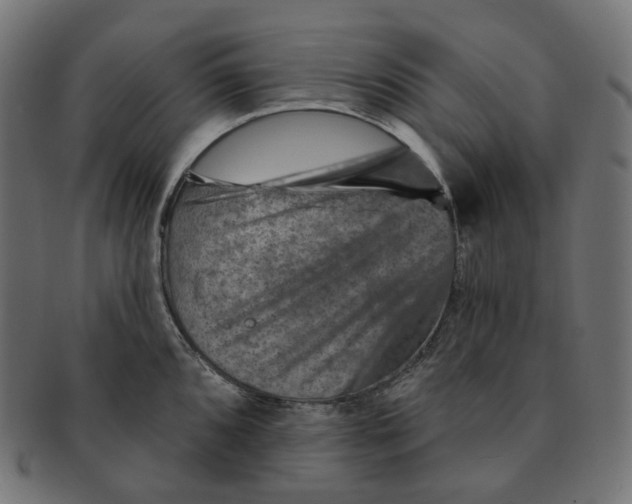 X0000091721096200709210956