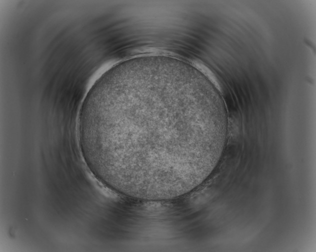 X0000091721098200709210956