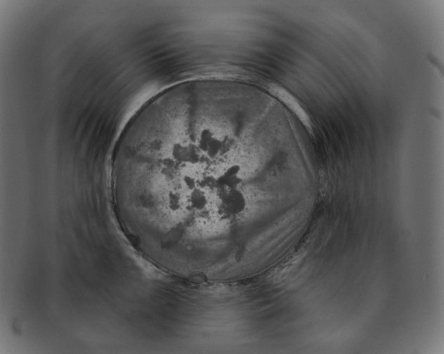 X0000091721099200709210956