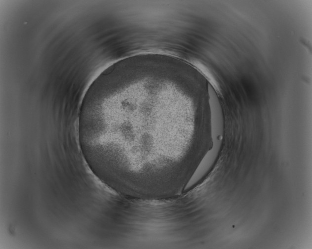 X0000091721100200709210956