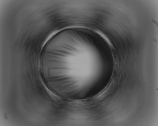 X0000091721101200709210956