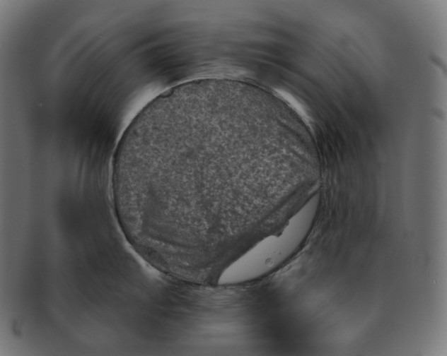 X0000091721103200709210956