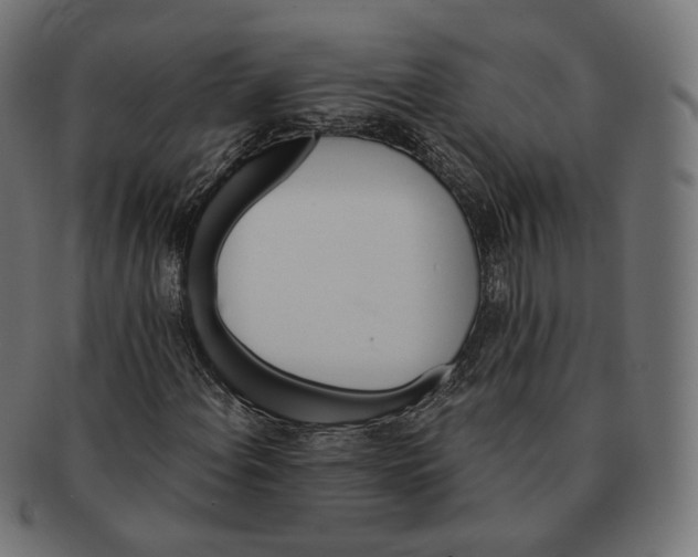 X0000091721108200709210955