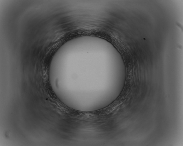 X0000091721109200709210955