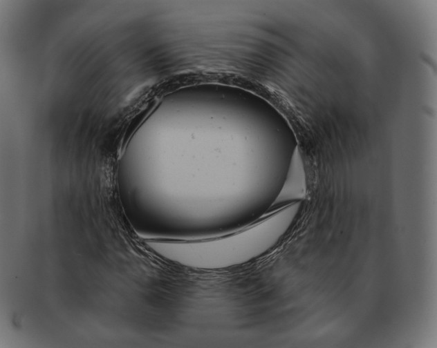 X0000091721110200709210955