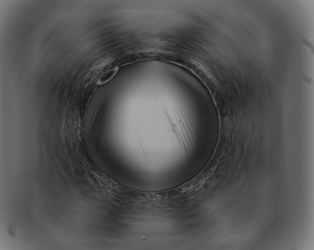 X0000091721111200709210955