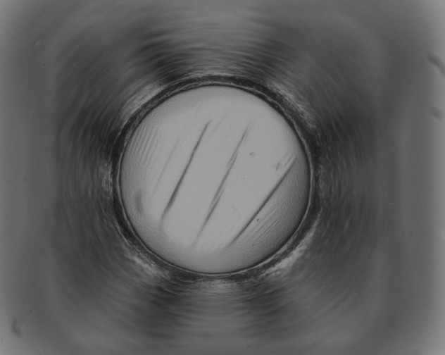 X0000091721113200709210955