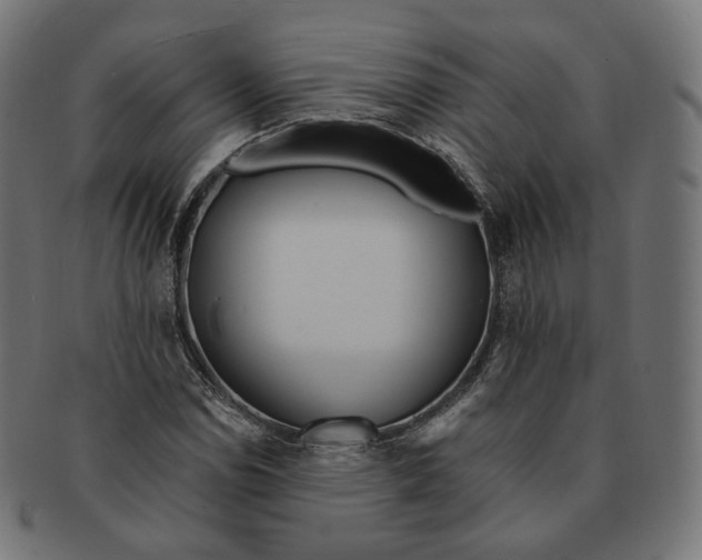 X0000091721114200709210955