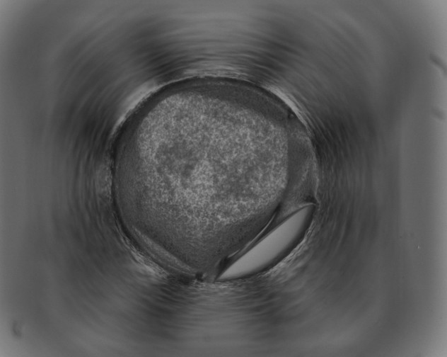 X0000091721115200709210955