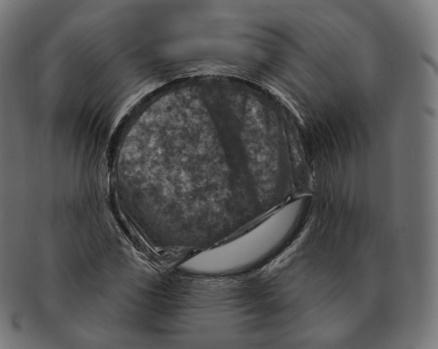 X0000091721117200709210955