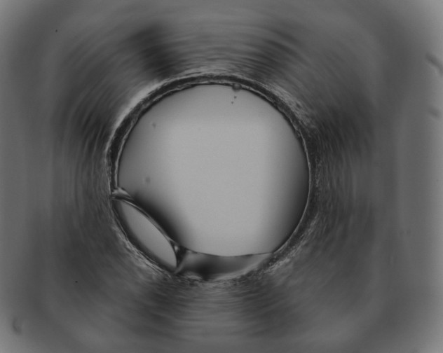 X0000091721118200709210955