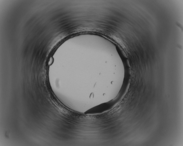 X0000091721119200709210955