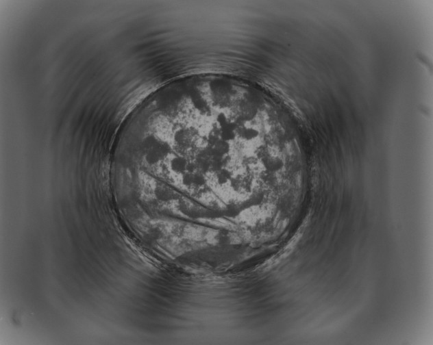 X0000091721121200709210955