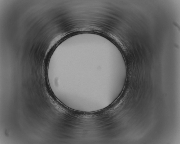 X0000091721122200709210955