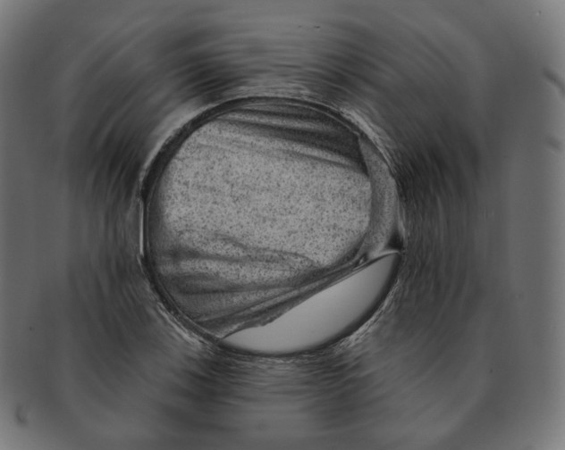 X0000091721123200709210955