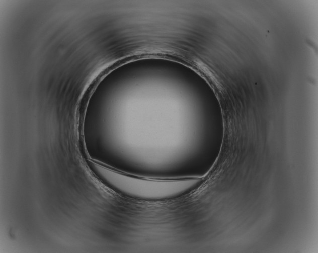 X0000091721124200709210955