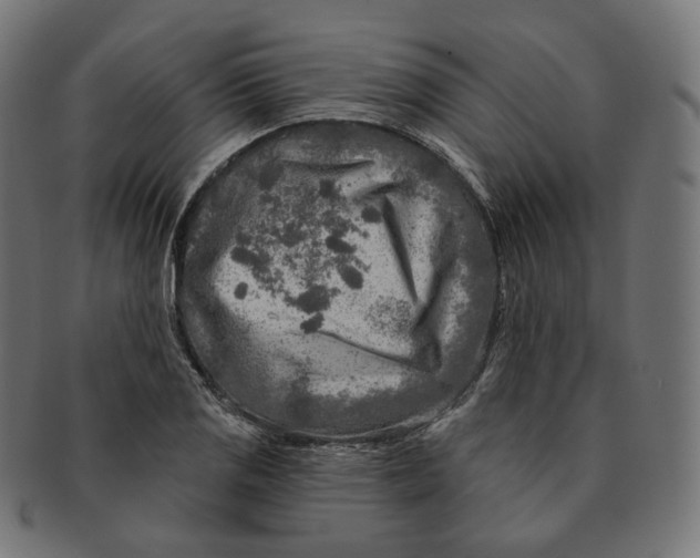 X0000091721125200709210955