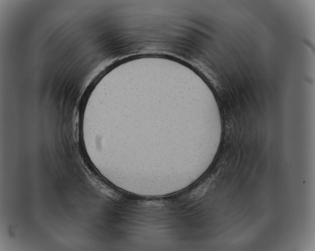 X0000091721126200709210955