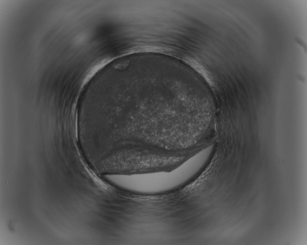 X0000091721127200709210955