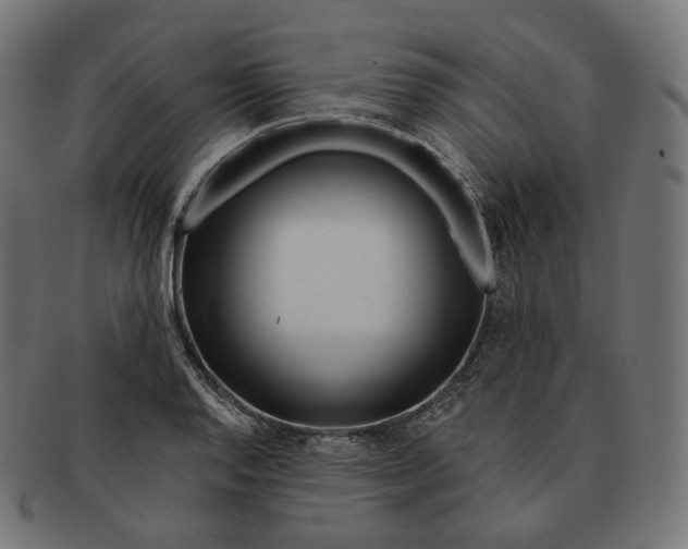 X0000091721128200709210955