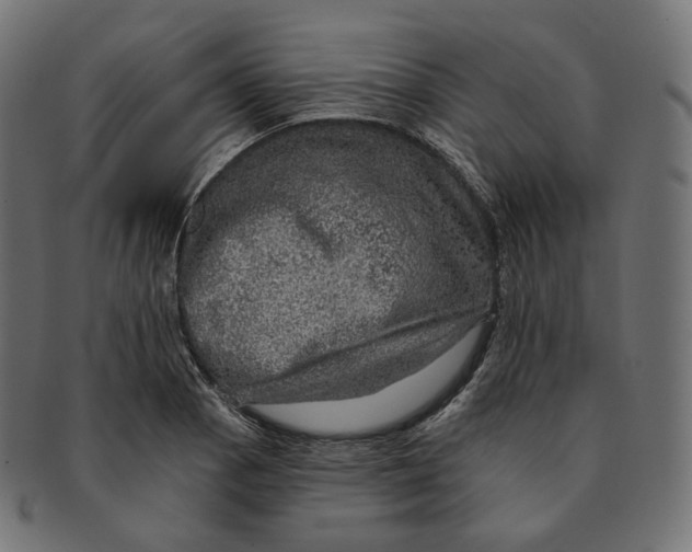 X0000091721129200709210955