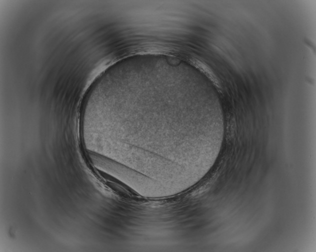 X0000091721130200709210955