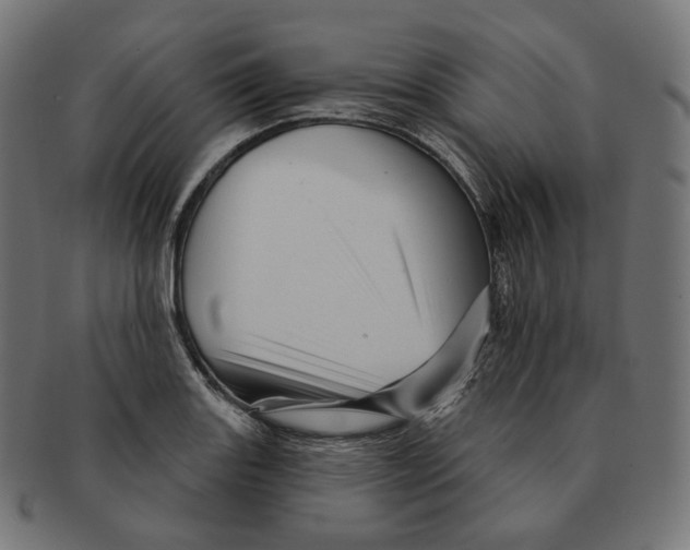 X0000091721131200709210955