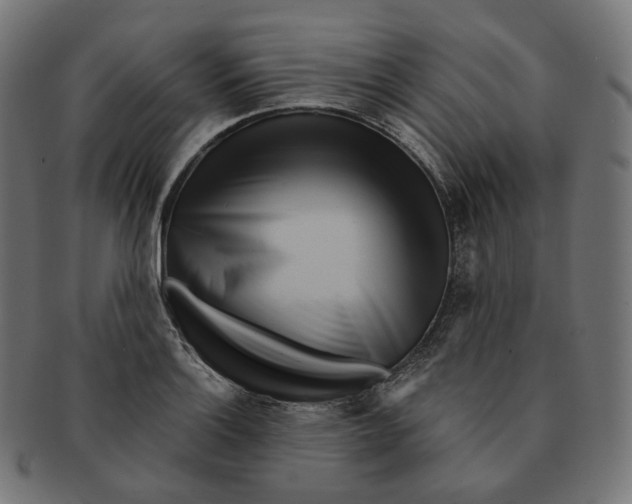 X0000091721132200709210955